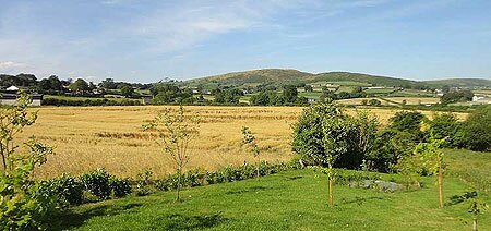 Meta's Cottage Garden View